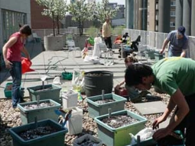 FA08_env_verdistoit_310_31