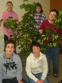 Projet Pouce Vert 01