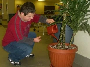 Projet Pouce Vert 02