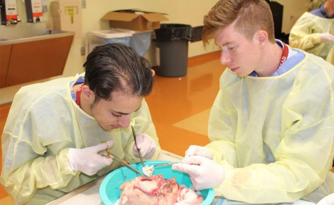 Julien Pinsonneault-3